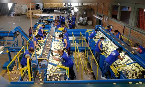 Paraná terá maior salário mínimo do País em 2022