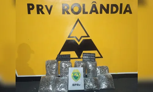 Passageira de ônibus é presa com quase 6 quilos de 'skunk'