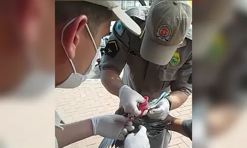 Pomba fica presa em fios e é resgatada pelos Bombeiros; veja