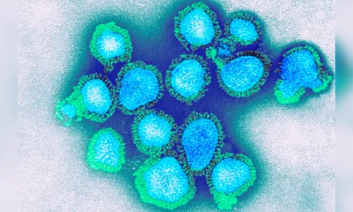 Regional de Saúde confirma óbito por H3N2 em Arapongas