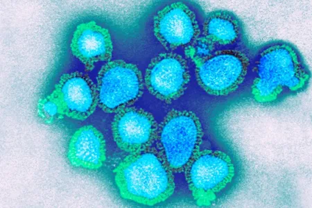 Regional de Saúde confirma óbito por H3N2 em Arapongas