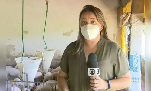 Repórter é atacada por porcos durante gravação de matéria