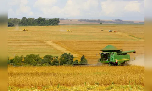 Safra de grãos no PR pode chegar a 25,61 mi de toneladas
