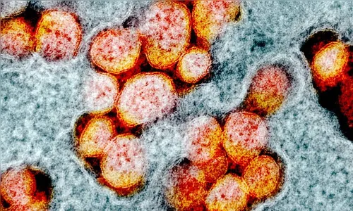 Secretaria confirma 86 casos de Ômicron no Estado de SP