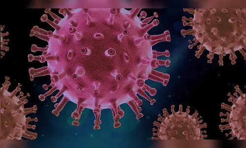 Sem óbitos: Arapongas registra 1 novo caso de coronavírus