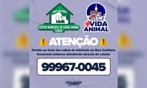 Telefone do Centro Animal de Apucarana está indisponível
