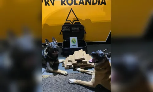 Três 'mulas' são presas com mais de 60 quilos de maconha