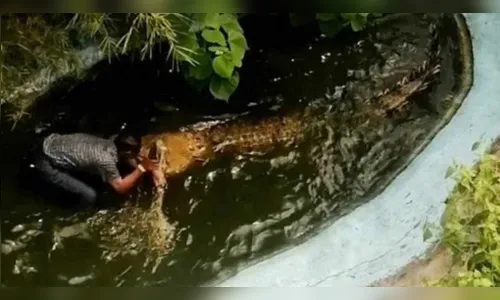 Turista é atacado por crocodilo após dar abraço no animal