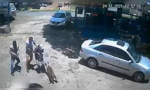 Vídeo: Cães enfrentam assaltantes para proteger dono no PR
