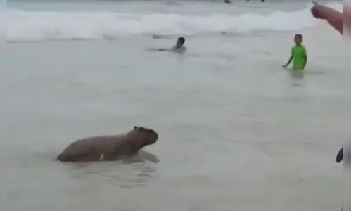 Vídeo flagra capivara tomando banho de mar em Ipanema; Veja