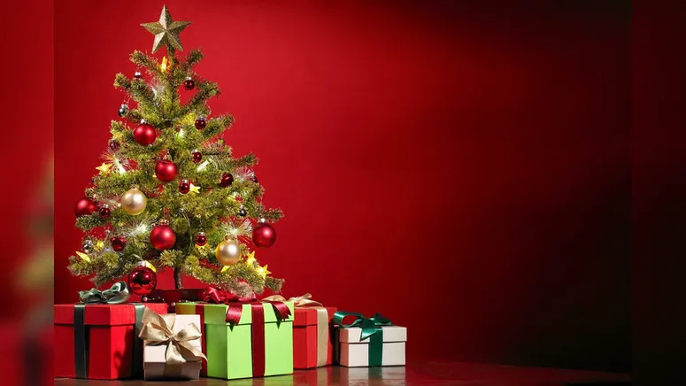 Imagem ilustrativa da notícia Dicas para preparar um Natal agradável para sua família