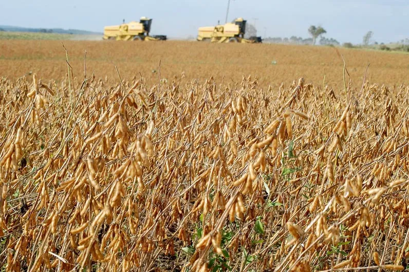 Redução no potencial agrícola é previsto devido à estiagem