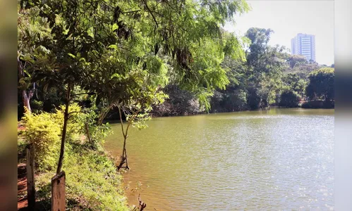 Arapongas recebe o programa 'Poliniza Paraná'