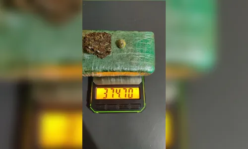 Cão de faro localiza maconha às margens de lago de Faxinal