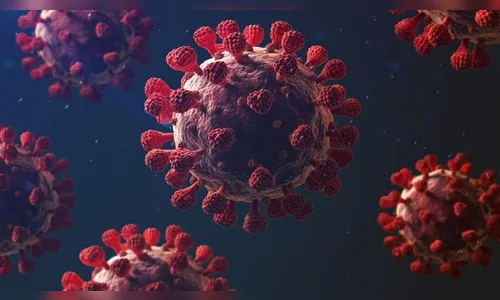 Covid-19: Apucarana registra mais um óbito e 337 novos casos