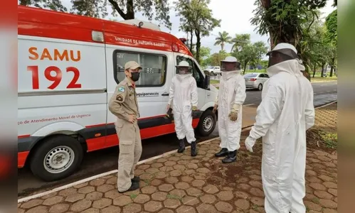 Homem leva pelo menos 30 picadas durante ataque de abelhas