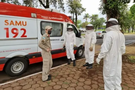 Homem leva pelo menos 30 picadas durante ataque de abelhas