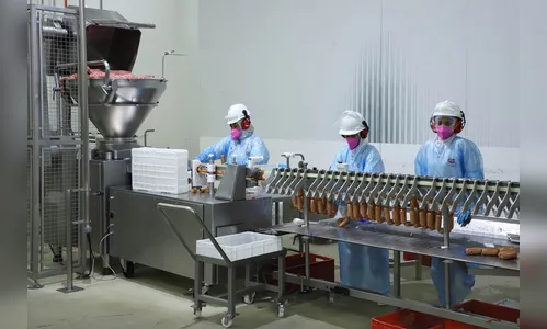 Paraná foi o estado que mais gerou empregos no sul em 2021