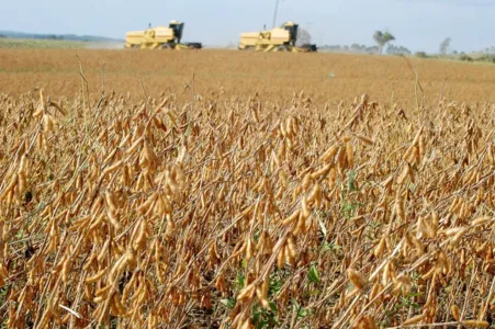 Redução no potencial agrícola é previsto devido à estiagem