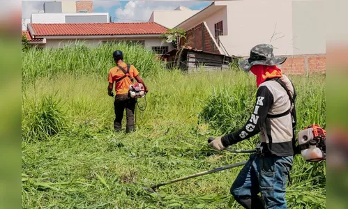 Terceirizada realiza limpeza de lotes baldios em Apucarana