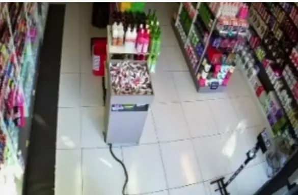 Serpente causa pânico em funcionários ao invadir loja no PR