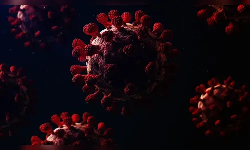 Apucarana confirma dois óbitos e 227 casos de Covid-19