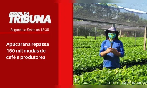 Apucarana repassa 150 mil mudas de café a produtores