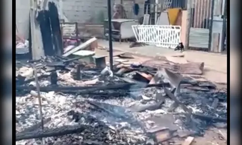 Cães morrem carbonizados em suposto incêndio criminoso no PR