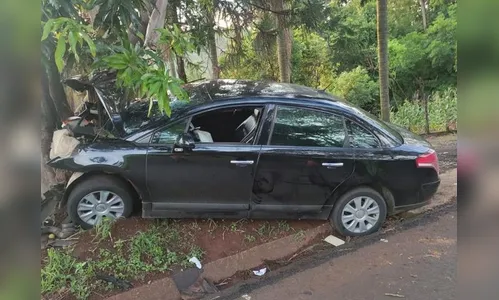 Criança de 3 anos morre após carro bater em árvore na PR-445