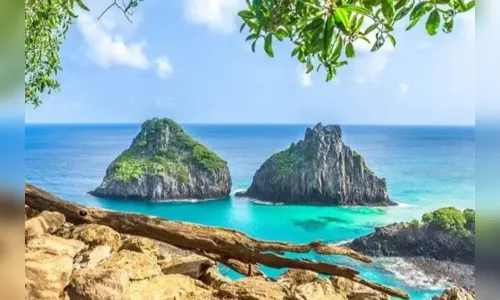 Criança de 8 anos atacada por tubarão tem perna amputada