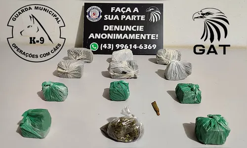 GM de Arapongas apreende jovem por tráfico de drogas