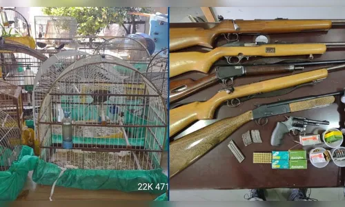 Homem é preso por manter mais de 40 pássaros em cativeiro