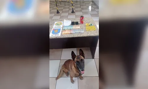 Homem é preso por tráfico de drogas no Jardim América