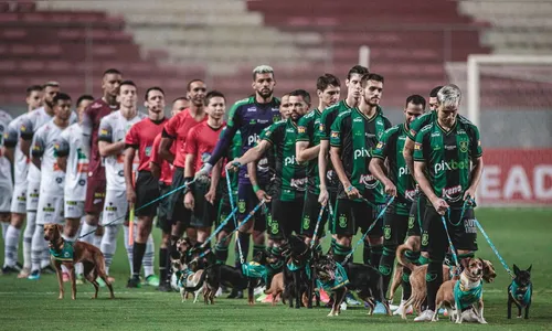 Jogadores entram com cães para adoção em partida do Mineiro