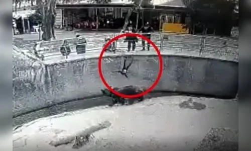 Mãe joga filha de 3 anos em jaula de urso; assista