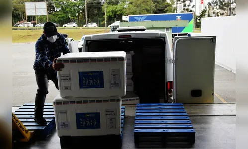 Mais de 805 mil vacinas contra a Covid-19 devem chegar ao PR
