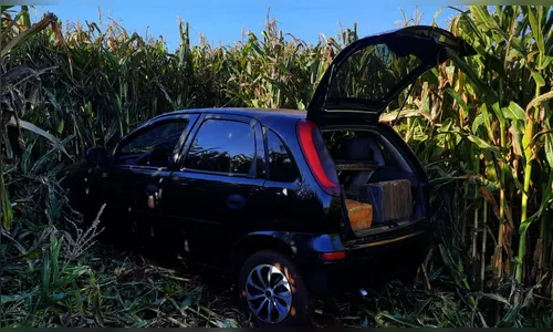 Polícia apreende mais de 200 quilos de drogas no estado