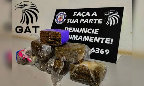 PM apreende maconha que iria para a cadeia de Arapongas