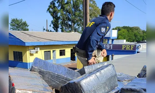 PRF apreende quase 1 tonelada de maconha no Paraná