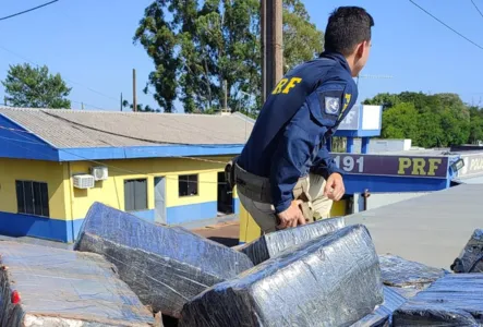 PRF apreende quase 1 tonelada de maconha no Paraná