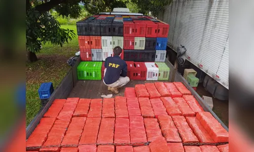 PRF apreende quase 2 toneladas de maconha no Paraná