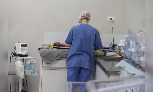 Paraná cria projeto para dar segurança aos recém-nascidos