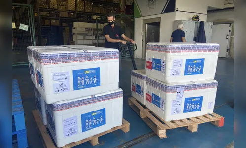 Paraná recebe 332,7 mil vacinas para dose de reforço