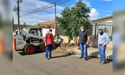 Prefeitura de Cambira realiza plantio de árvores