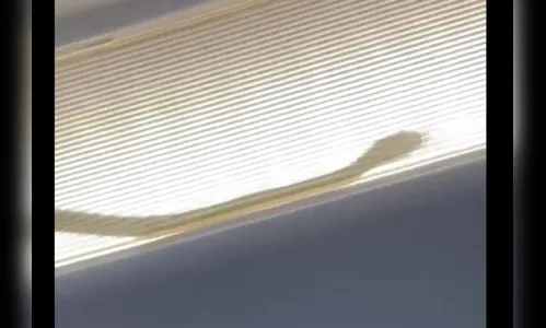 Serpente em avião obriga piloto a fazer pouso de emergência