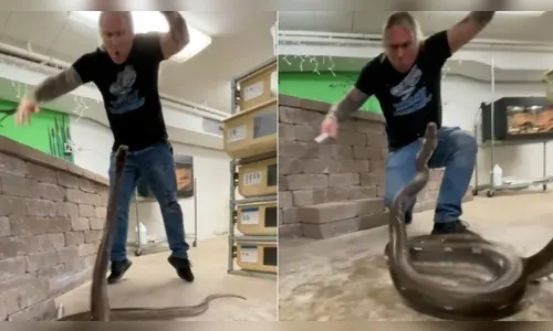Vídeo: píton quase morde partes íntimas de influenciador