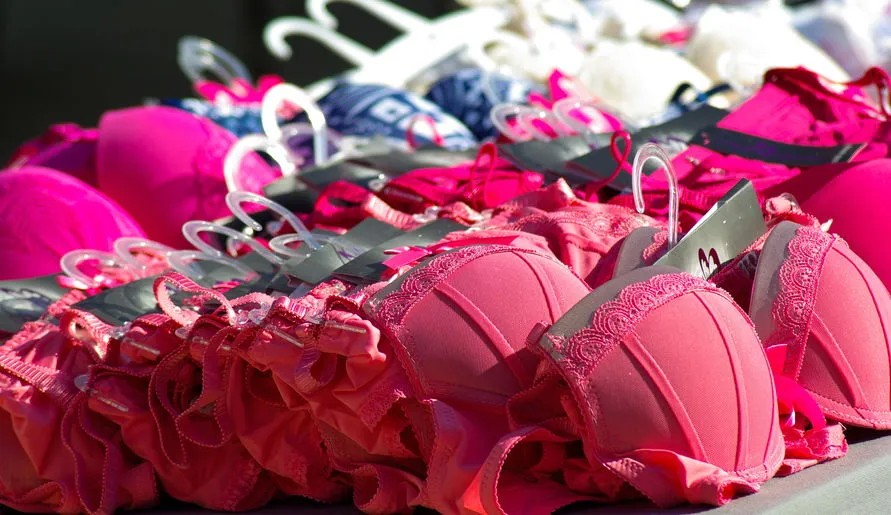 Diversas lingeries são furtadas de carro em Califórnia