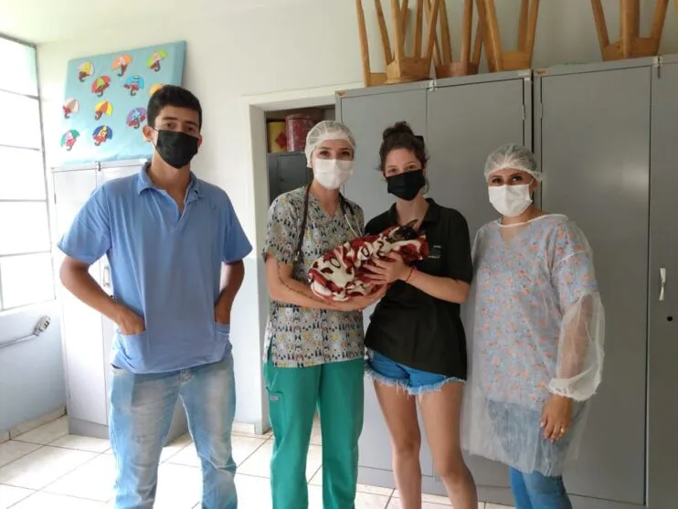 Novo Itacolomi inicia castração de animais nesta terça (15)