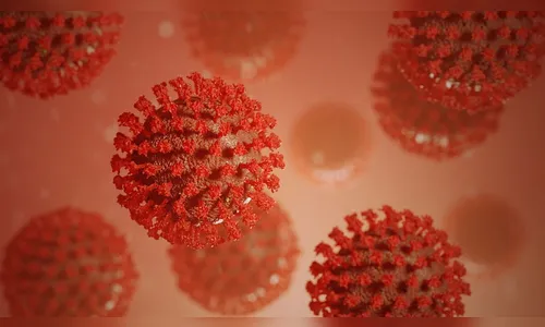 Apucarana confirma 36 casos de Covid-19 nesta segunda (07)