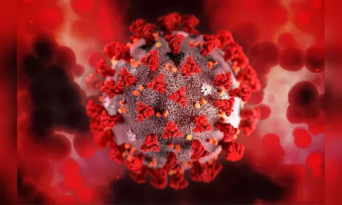 Arapongas disponibiliza o Boletim semanal de Covid-19